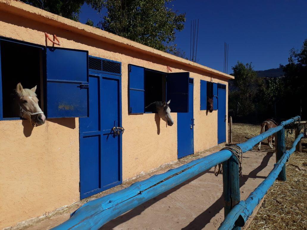 Le Vallon Vert - Club Equestre Azrou Esterno foto
